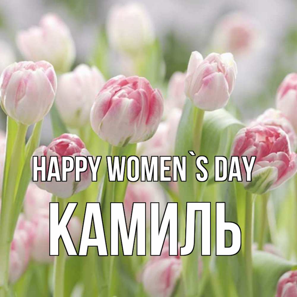 Greetings card с именем, Камиль happy women`s day цветы Greetings with text for free download 